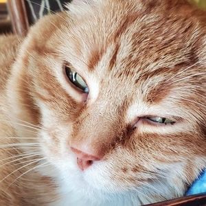 Meet your Posher, Brenda